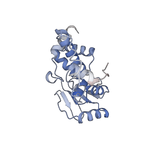 3532_5mmj_d_v1-4
Structure of the small subunit of the chloroplast ribosome