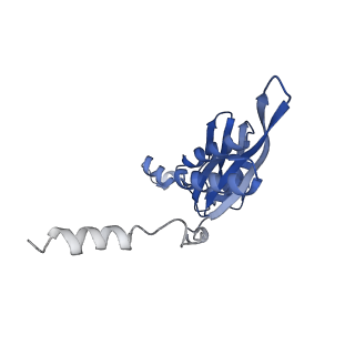3532_5mmj_e_v1-4
Structure of the small subunit of the chloroplast ribosome