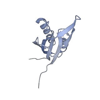 3532_5mmj_f_v1-4
Structure of the small subunit of the chloroplast ribosome