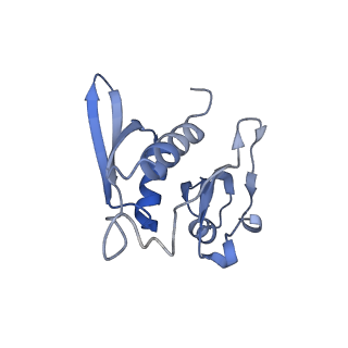 3532_5mmj_h_v1-4
Structure of the small subunit of the chloroplast ribosome