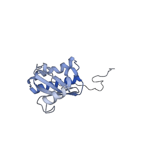 3532_5mmj_i_v1-4
Structure of the small subunit of the chloroplast ribosome