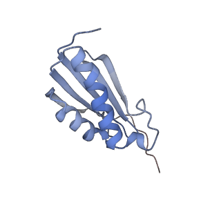 3532_5mmj_k_v1-4
Structure of the small subunit of the chloroplast ribosome