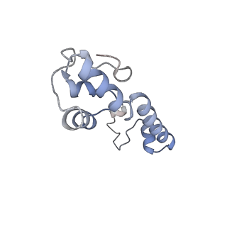 3532_5mmj_m_v1-4
Structure of the small subunit of the chloroplast ribosome
