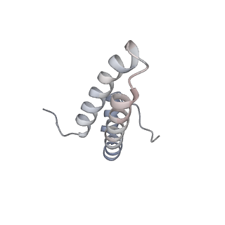 3532_5mmj_o_v1-4
Structure of the small subunit of the chloroplast ribosome