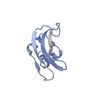 3532_5mmj_p_v1-4
Structure of the small subunit of the chloroplast ribosome