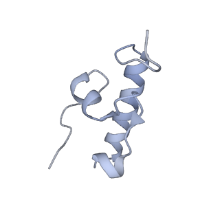 3532_5mmj_r_v1-4
Structure of the small subunit of the chloroplast ribosome
