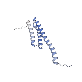 3532_5mmj_t_v1-4
Structure of the small subunit of the chloroplast ribosome