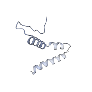 3532_5mmj_u_v1-4
Structure of the small subunit of the chloroplast ribosome