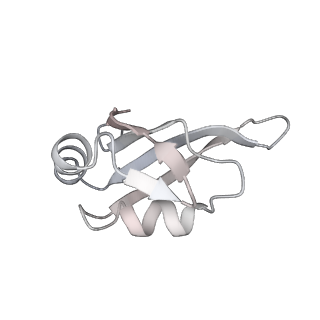 3532_5mmj_v_v1-4
Structure of the small subunit of the chloroplast ribosome