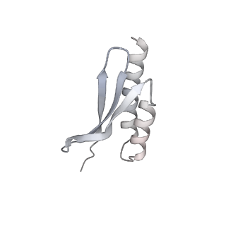 3532_5mmj_w_v1-4
Structure of the small subunit of the chloroplast ribosome