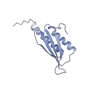 3532_5mmj_y_v1-4
Structure of the small subunit of the chloroplast ribosome