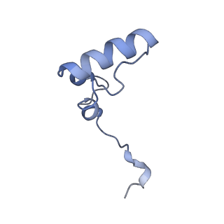 3533_5mmm_3_v1-3
Structure of the 70S chloroplast ribosome