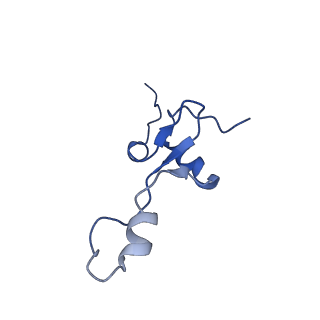 3533_5mmm_4_v1-3
Structure of the 70S chloroplast ribosome