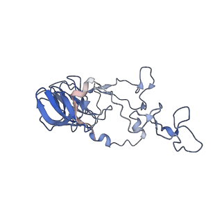 3533_5mmm_C_v1-3
Structure of the 70S chloroplast ribosome