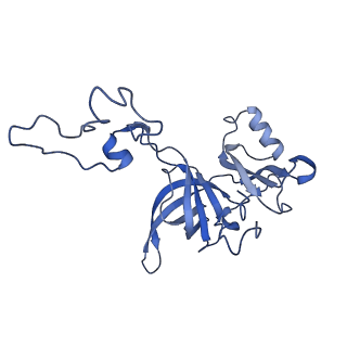 3533_5mmm_D_v1-3
Structure of the 70S chloroplast ribosome