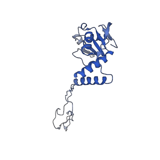 3533_5mmm_E_v1-3
Structure of the 70S chloroplast ribosome