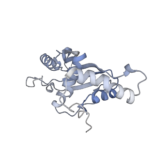 3533_5mmm_F_v1-3
Structure of the 70S chloroplast ribosome