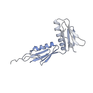 3533_5mmm_G_v1-3
Structure of the 70S chloroplast ribosome