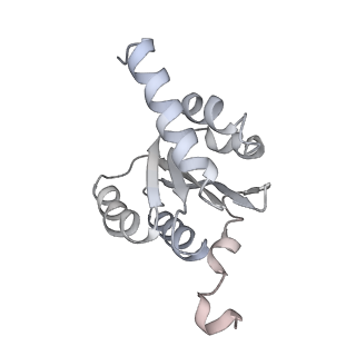 3533_5mmm_I_v1-3
Structure of the 70S chloroplast ribosome