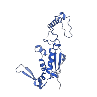 3533_5mmm_K_v1-3
Structure of the 70S chloroplast ribosome