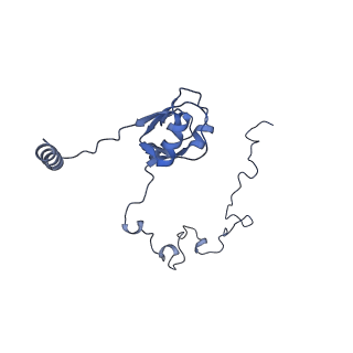 3533_5mmm_M_v1-3
Structure of the 70S chloroplast ribosome