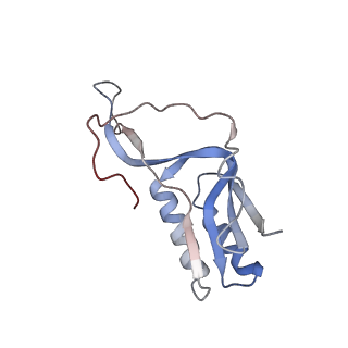 3533_5mmm_N_v1-3
Structure of the 70S chloroplast ribosome