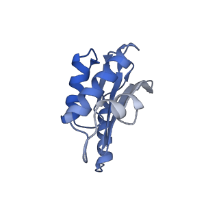 3533_5mmm_P_v1-3
Structure of the 70S chloroplast ribosome