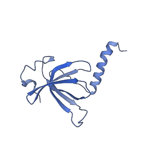 3533_5mmm_Q_v1-3
Structure of the 70S chloroplast ribosome