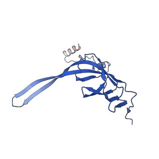 3533_5mmm_S_v1-3
Structure of the 70S chloroplast ribosome