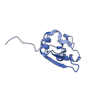 3533_5mmm_U_v1-3
Structure of the 70S chloroplast ribosome