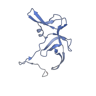 3533_5mmm_V_v1-3
Structure of the 70S chloroplast ribosome