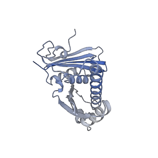 3533_5mmm_c_v1-3
Structure of the 70S chloroplast ribosome
