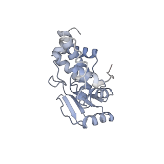 3533_5mmm_d_v1-3
Structure of the 70S chloroplast ribosome