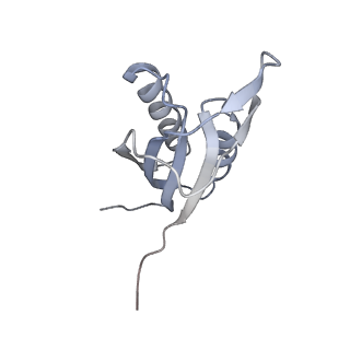 3533_5mmm_f_v1-3
Structure of the 70S chloroplast ribosome