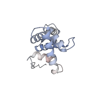 3533_5mmm_g_v1-3
Structure of the 70S chloroplast ribosome