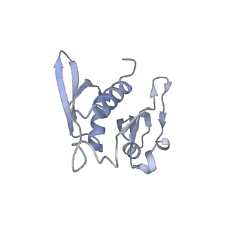 3533_5mmm_h_v1-3
Structure of the 70S chloroplast ribosome