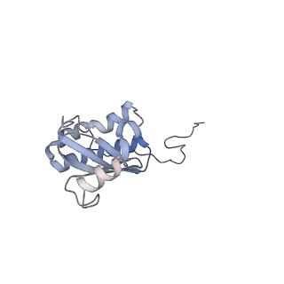 3533_5mmm_i_v1-3
Structure of the 70S chloroplast ribosome