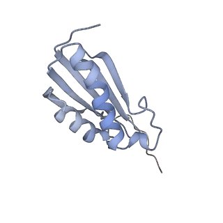 3533_5mmm_k_v1-3
Structure of the 70S chloroplast ribosome