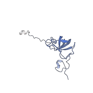 3533_5mmm_l_v1-3
Structure of the 70S chloroplast ribosome