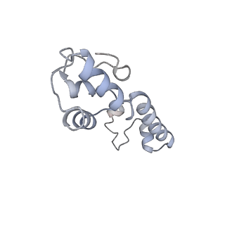 3533_5mmm_m_v1-3
Structure of the 70S chloroplast ribosome