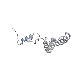 3533_5mmm_n_v1-3
Structure of the 70S chloroplast ribosome