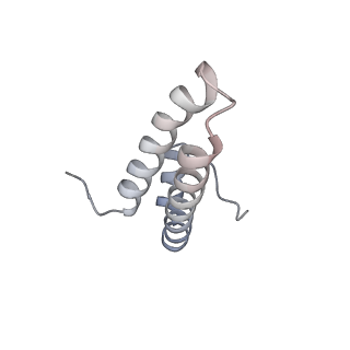 3533_5mmm_o_v1-3
Structure of the 70S chloroplast ribosome