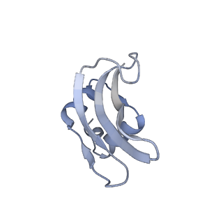 3533_5mmm_p_v1-3
Structure of the 70S chloroplast ribosome