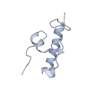 3533_5mmm_r_v1-3
Structure of the 70S chloroplast ribosome