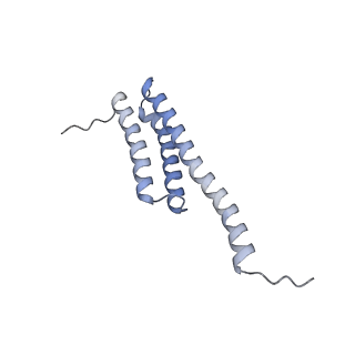 3533_5mmm_t_v1-3
Structure of the 70S chloroplast ribosome
