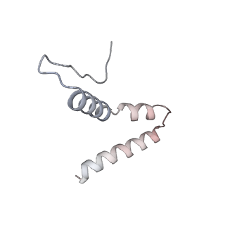 3533_5mmm_u_v1-3
Structure of the 70S chloroplast ribosome