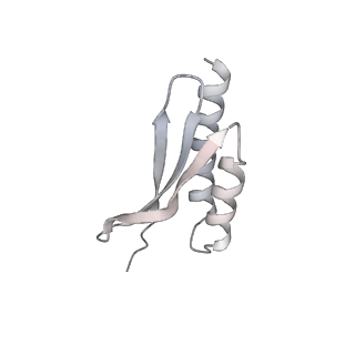 3533_5mmm_w_v1-3
Structure of the 70S chloroplast ribosome