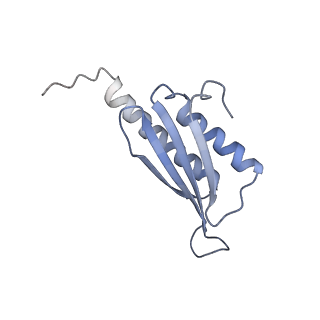 3533_5mmm_y_v1-3
Structure of the 70S chloroplast ribosome