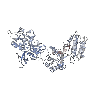 9163_6mmv_A_v1-2
Triheteromeric NMDA receptor GluN1/GluN2A/GluN2A* Extracellular Domain in the '2-Knuckle-Asymmetric' conformation, in complex with glycine and glutamate, in the presence of 1 micromolar zinc chloride, and at pH 7.4
