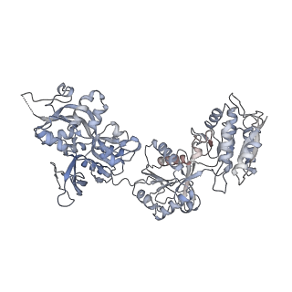 9163_6mmv_A_v2-0
Triheteromeric NMDA receptor GluN1/GluN2A/GluN2A* Extracellular Domain in the '2-Knuckle-Asymmetric' conformation, in complex with glycine and glutamate, in the presence of 1 micromolar zinc chloride, and at pH 7.4